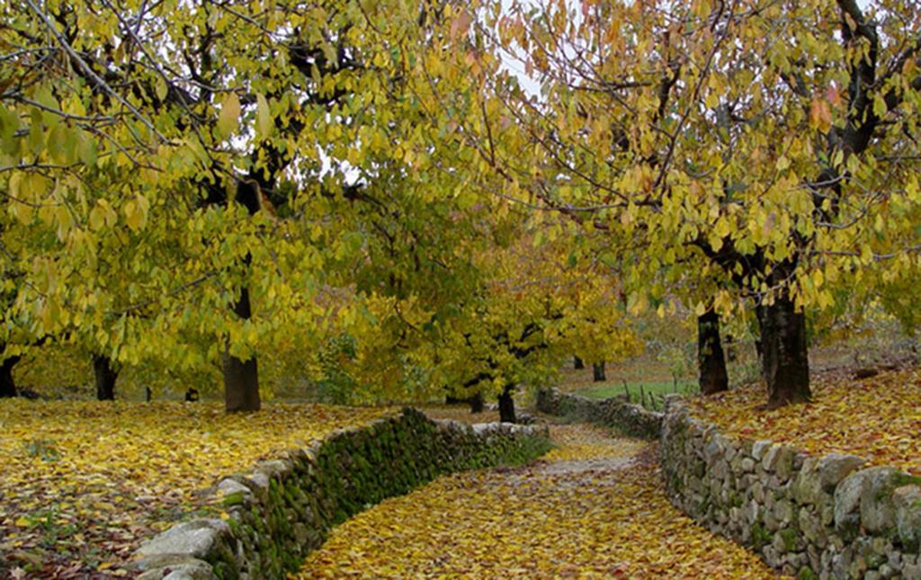 Apartamentos Valle Del Jerte El Huerto Del Cura Cabezuela Del Valle Bagian luar foto
